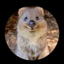 Aoxy - Professional gamer